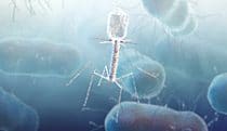 Bacteriophages