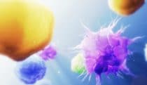 Immune cells